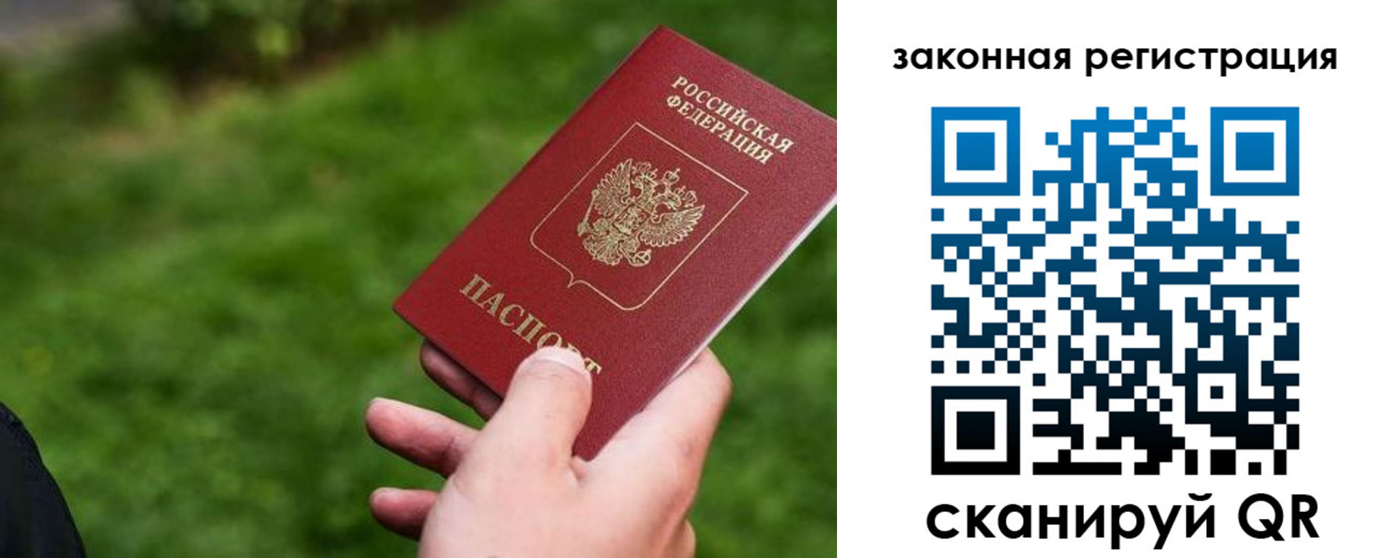 прописка законно в Североморске